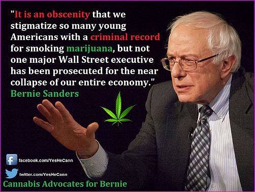 Bernie-Sanders-conflates-marijuana-and-corporate-malfeasance.jpg