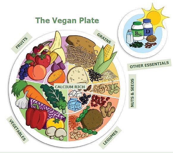 vegan-meal.jpg